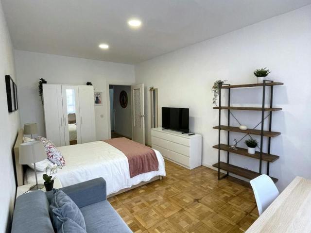 1 Dormitorio Shared Living/Roommate Madrid Madrid LS102851279