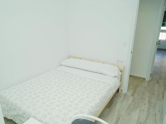 1 Dormitorio Shared Living/Roommate Málaga Málaga 100493535