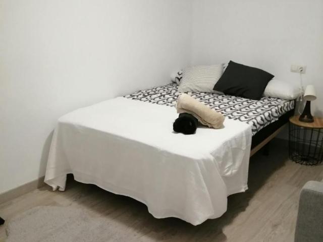 1 Dormitorio Shared Living/Roommate Málaga Málaga 103180597