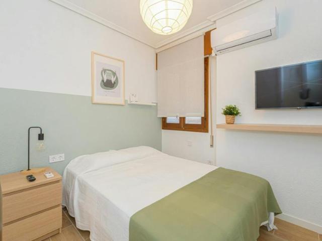 1 Dormitorio Shared Living/Roommate Alicante Alicante LS101190136