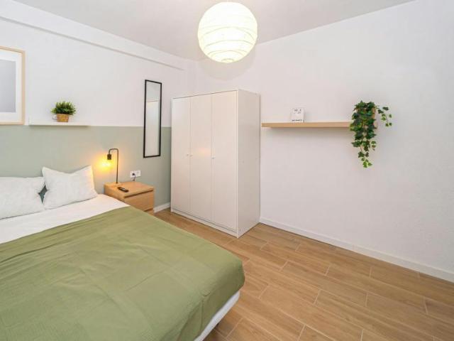 1 Dormitorio Shared Living/Roommate Alicante Alicante LS102753659