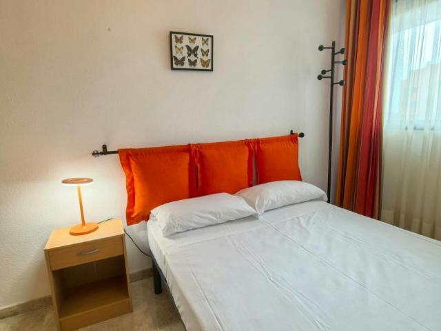 1 Dormitorio Shared Living/Roommate Alicante Alicante LS102852083