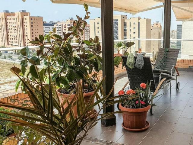 1 Dormitorio Shared Living/Roommate Alicante Alicante LS91863449