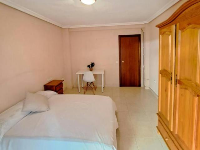 1 Dormitorio Shared Living/Roommate Alicante Alicante LS94964030
