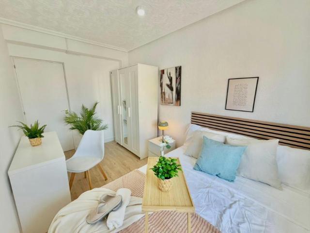 1 Dormitorio Shared Living/Roommate Alicante Alicante 102145274