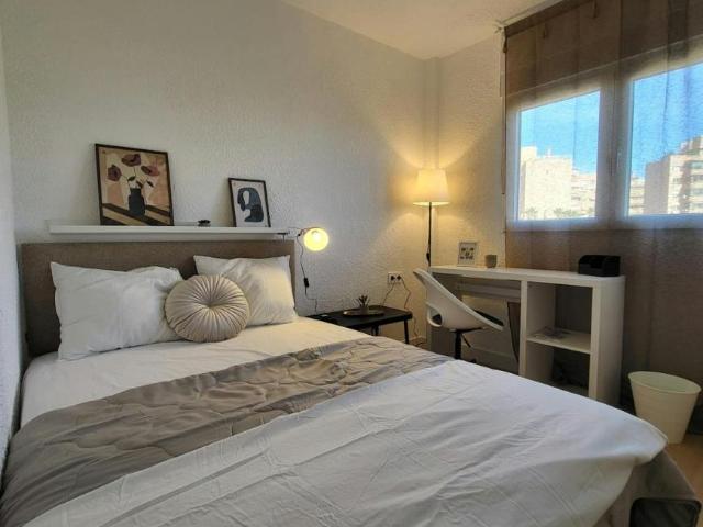 1 Dormitorio Shared Living/Roommate Alicante Alicante 102308689