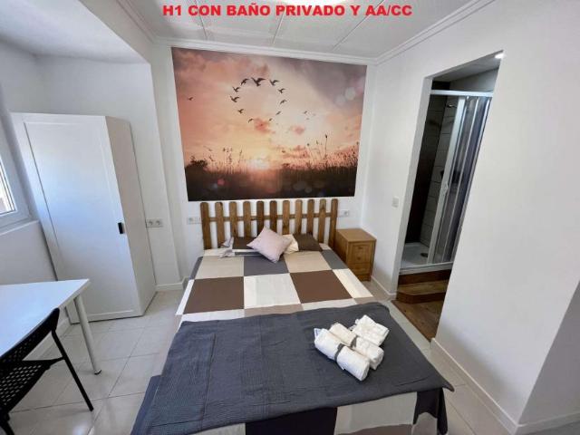 1 Dormitorio Shared Living/Roommate Alicante Alicante 102523202