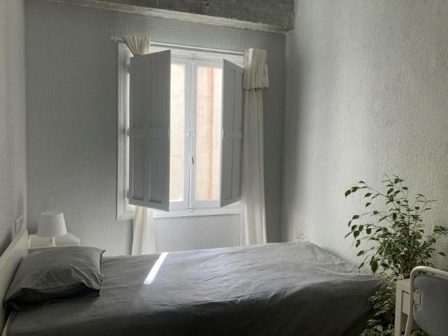 1 Dormitorio Shared Living/Roommate Alicante Alicante 102662050