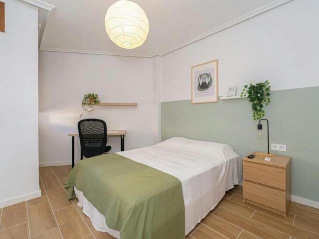 1 Dormitorio Shared Living/Roommate Alicante Alicante 102852161