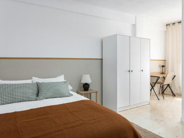 1 Dormitorio Shared Living/Roommate Alicante Alicante 102853713