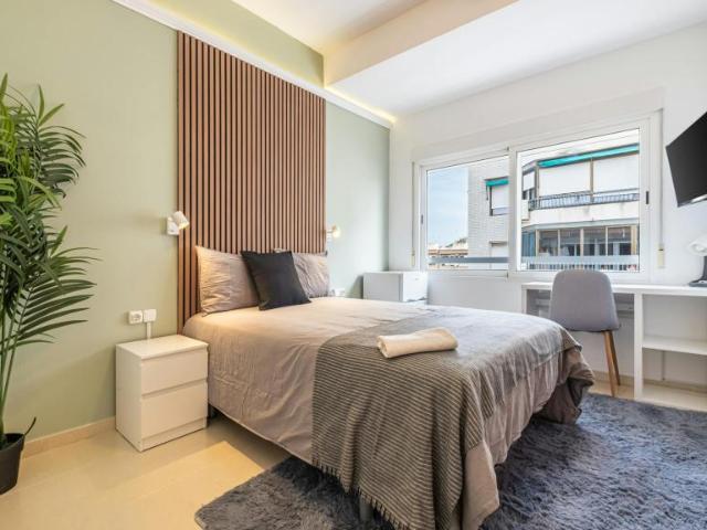 1 Dormitorio Shared Living/Roommate Alicante Alicante 102813421