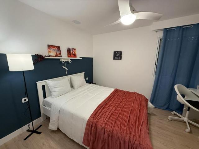 1 Dormitorio Shared Living/Roommate Alicante Alicante 103396740