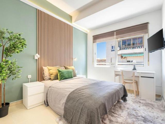 1 Dormitorio Shared Living/Roommate Alicante Alicante 104754347