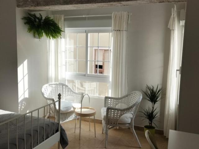 1 Dormitorio Shared Living/Roommate Alicante Alicante 77937212