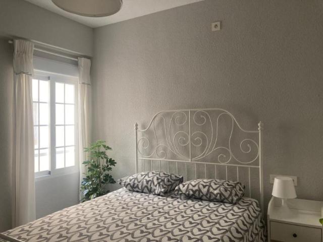 1 Dormitorio Shared Living/Roommate Alicante Alicante 77941510