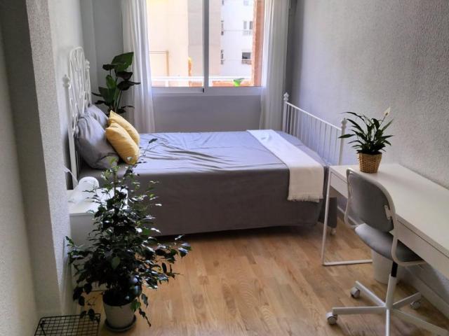 1 Dormitorio Shared Living/Roommate Alicante Alicante 77941595