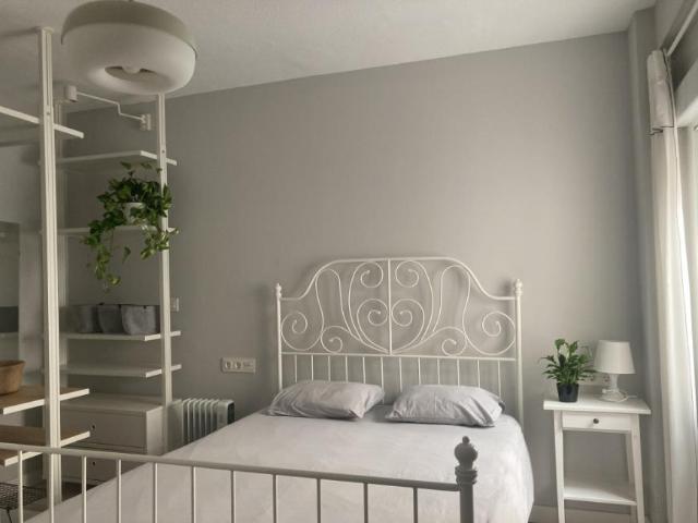 1 Dormitorio Shared Living/Roommate Alicante Alicante 87562206