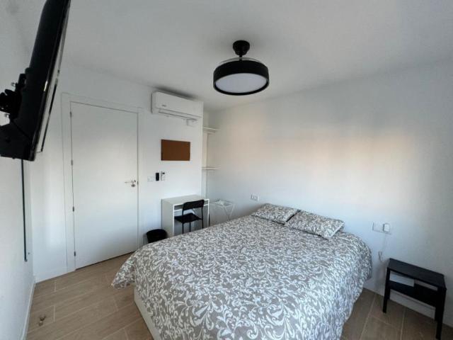 1 Dormitorio Shared Living/Roommate Alicante Alicante 99385919