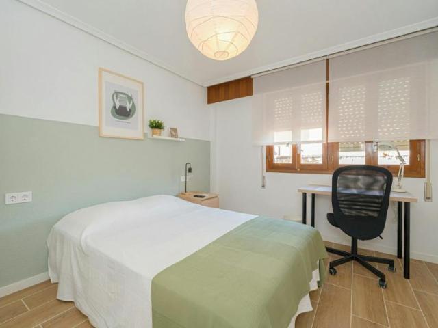 1 Dormitorio Shared Living/Roommate Alicante Alicante 99767125