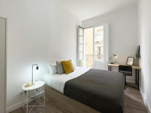 1 Dormitorio Shared Living/Roommate Barcelona Barcelona 100676033
