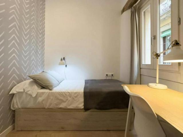 1 Dormitorio Shared Living/Roommate Barcelona Barcelona 101222967