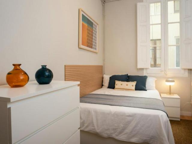 1 Dormitorio Shared Living/Roommate Barcelona Barcelona 101305221