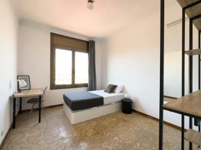 1 Dormitorio Shared Living/Roommate Barcelona Barcelona 102815732
