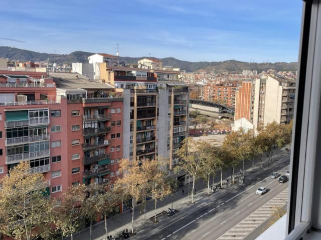 1 Dormitorio Shared Living/Roommate Barcelona Barcelona 87562417