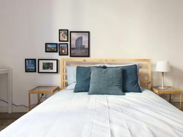1 Dormitorio Shared Living/Roommate Barcelona Barcelona 98070593