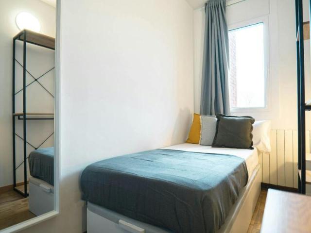 1 Dormitorio Shared Living/Roommate Barcelona Barcelona 99636638