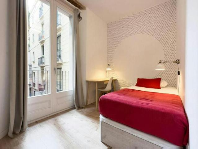 1 Dormitorio Shared Living/Roommate Barcelona Barcelona 99977921