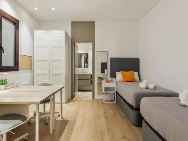1 Dormitorio Shared Living/Roommate Barcelona Barcelona 99287523