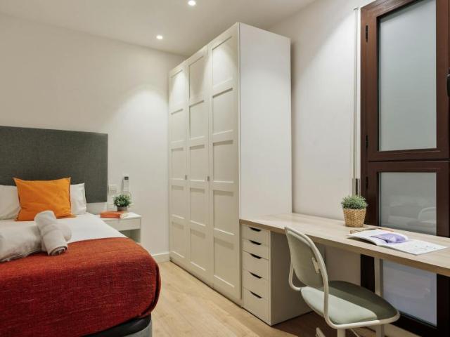 1 Dormitorio Shared Living/Roommate Barcelona Barcelona 99287528