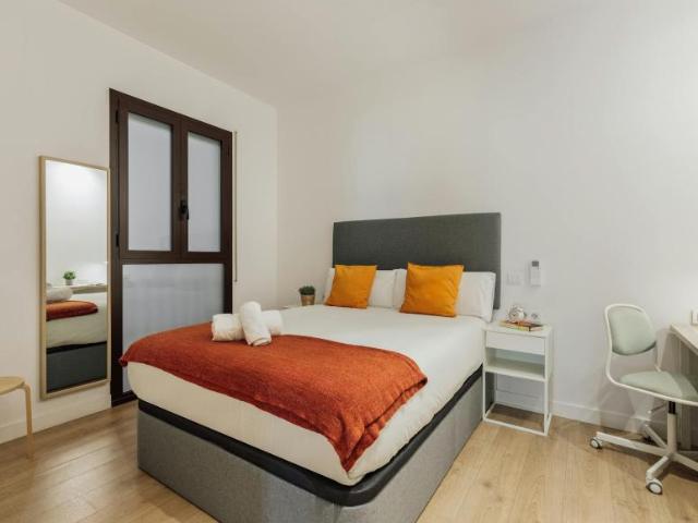 1 Dormitorio Shared Living/Roommate Barcelona Barcelona 99287535