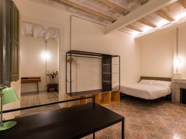 1 Dormitorio Shared Living/Roommate Barcelona Barcelona 99383570