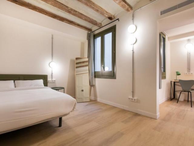 1 Dormitorio Shared Living/Roommate Barcelona Barcelona 99383575
