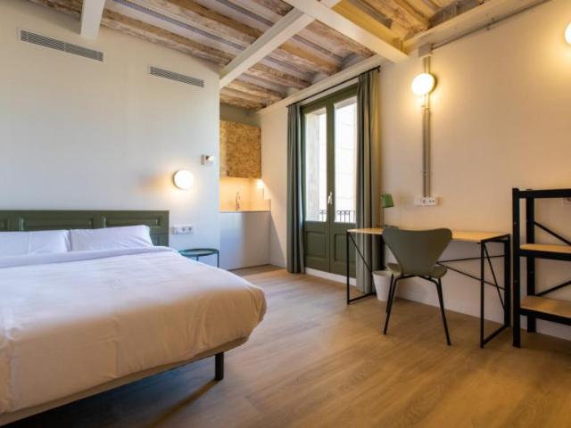 1 Dormitorio Shared Living/Roommate Barcelona Barcelona 99383186