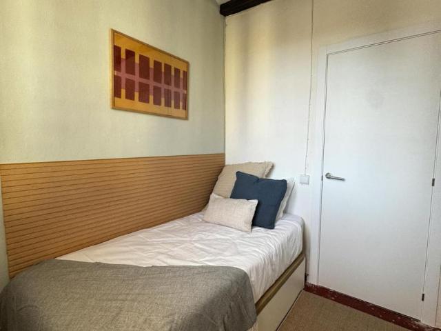 1 Dormitorio Shared Living/Roommate Barcelona Barcelona LS100123955