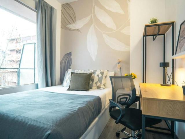 1 Dormitorio Shared Living/Roommate Barcelona Barcelona LS101793165