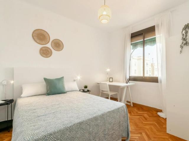 1 Dormitorio Shared Living/Roommate Barcelona Barcelona LS101845552
