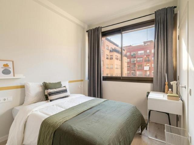 1 Dormitorio Shared Living/Roommate Barcelona Barcelona LS102814433