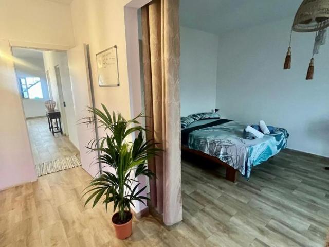 1 Dormitorio Shared Living/Roommate Becerril De Guía Becerril De Guía LS90711916