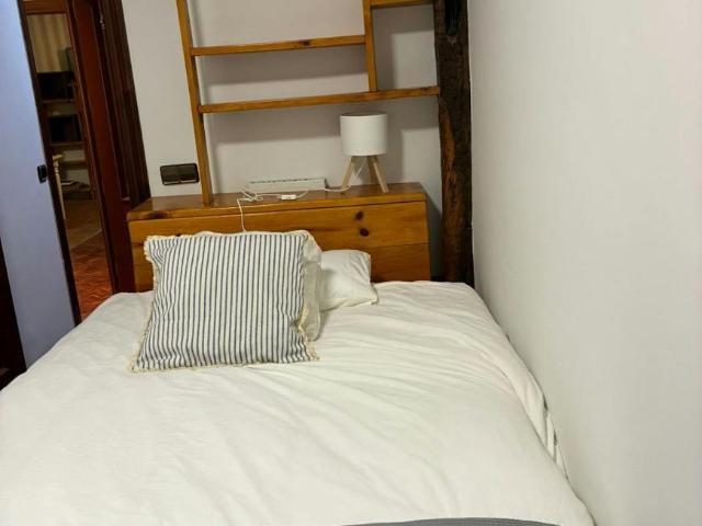 1 Dormitorio Shared Living/Roommate Bilbao Bilbao 100715314