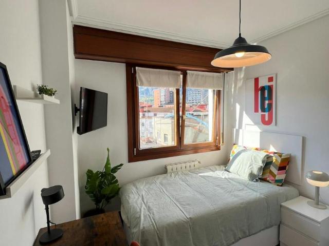 1 Dormitorio Shared Living/Roommate Bilbao Bilbao 101845311