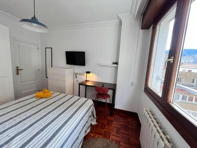 1 Dormitorio Shared Living/Roommate Bilbao Bilbao 101845323