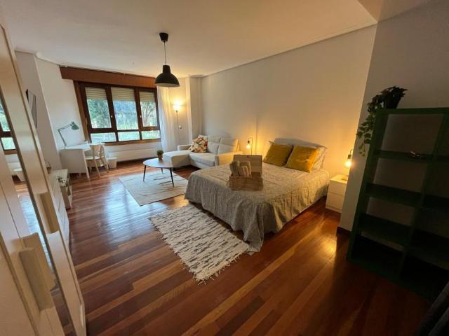 1 Dormitorio Shared Living/Roommate Bilbao Bilbao 102854766