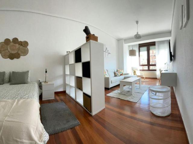 1 Dormitorio Shared Living/Roommate Bilbao Bilbao 102854763