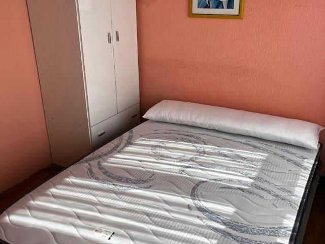 1 Dormitorio Shared Living/Roommate Bilbao Bilbao 95021932