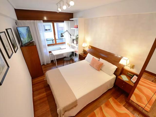 1 Dormitorio Shared Living/Roommate Bilbao Bilbao 96742597