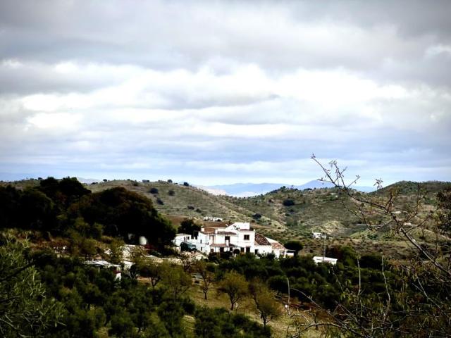 1 Dormitorio Shared Living/Roommate Casarabonela Casarabonela 99385626